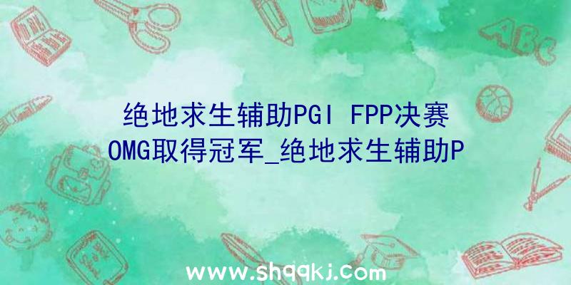 绝地求生辅助PGI